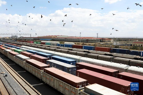 蒙内铁路运营五周年 货运引擎推动肯尼亚及东非经贸蓬勃发展